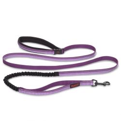 Halti All-In -One Lead Purple