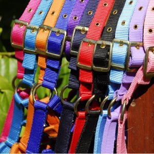 Rhinegold Nylon Foal Headcollar