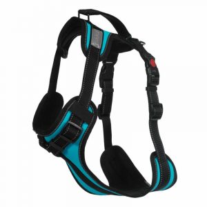 RUKKA   SOLID HARNESS  TURQUOISE
