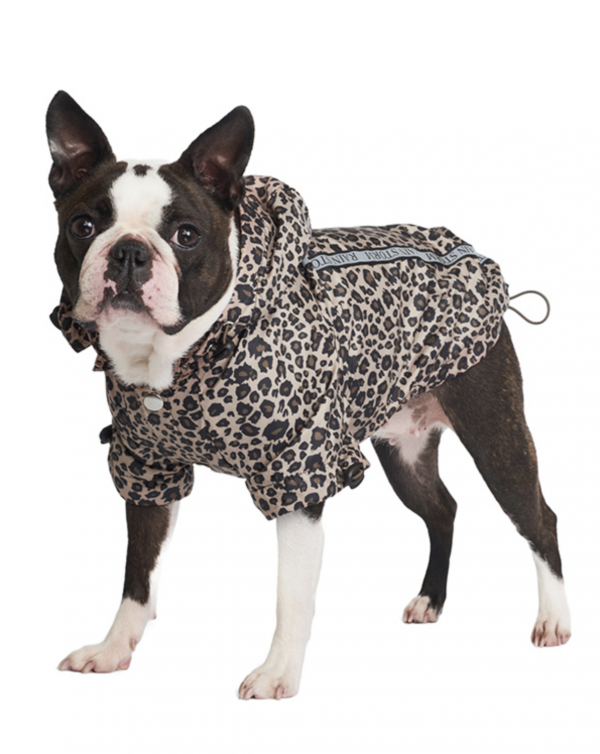 Leopard Print Rainstorm Rain Coat Urban Pup