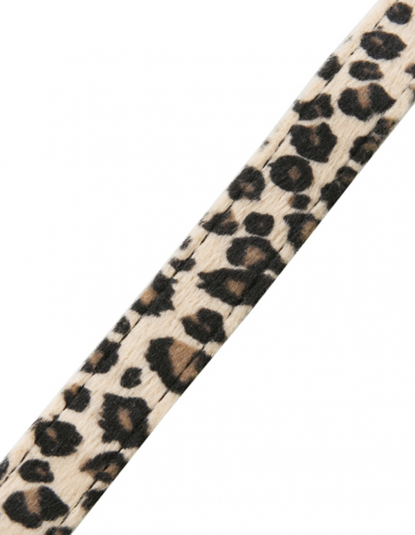 Leopard Print Fabric Collar & Lead