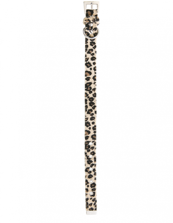 Leopard Print Fabric Collar & Lead