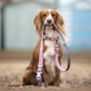 Pink Herringbone Lead Hugo Hudson