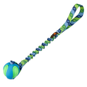 PowerBall Bungee tug-e-nuff