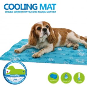 COOLING MAT