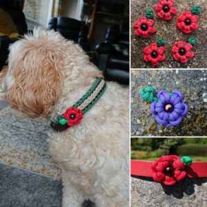 Para-Paws Poppies