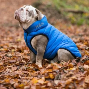 Hugo & Hudson Reversible Dog Puffer Jacket - Blue and Navy