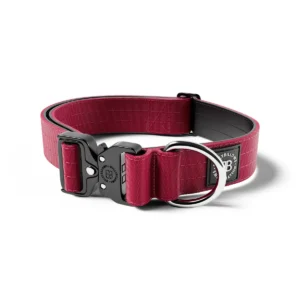 BullyBillows 4cm Combat® Collar | Rated Clip - NO HANDLE - Burgundy v2.0 Medium