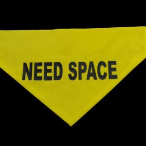 Awareness    Bandana   Need Space