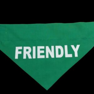 Awareness  Bandana   Friendly