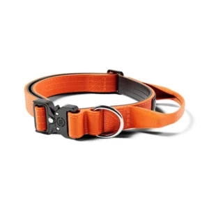 BullyBillows 2.5cm Combat® Collar | With Handle & Rated Clip - Orange v2.0