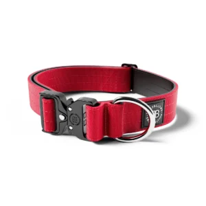 BullyBillows 4cm Combat® Collar | Rated Clip - NO HANDLE - Red v2.0