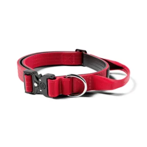 BullyBillows 2.5cm Combat® Collar | With Handle & Rated Clip - Red v2.0