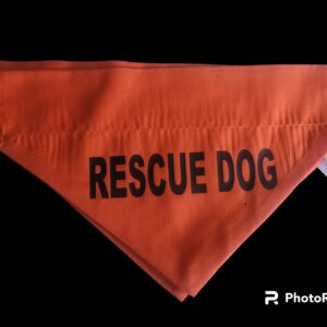 Awareness  Bandana      Rescue Dog