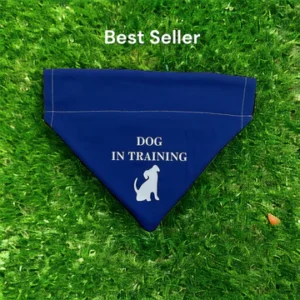 Awareness   Bandana    In Training