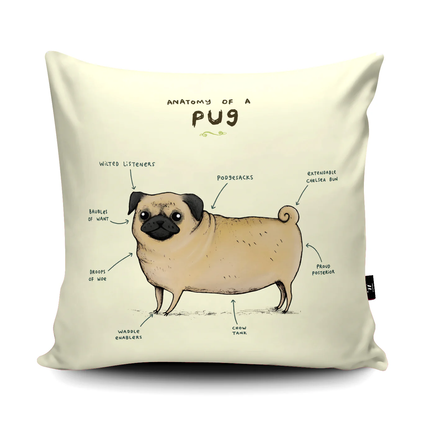 Wraptious Wraptious Anatomy Of A Pug Cushion | Jus4Paws